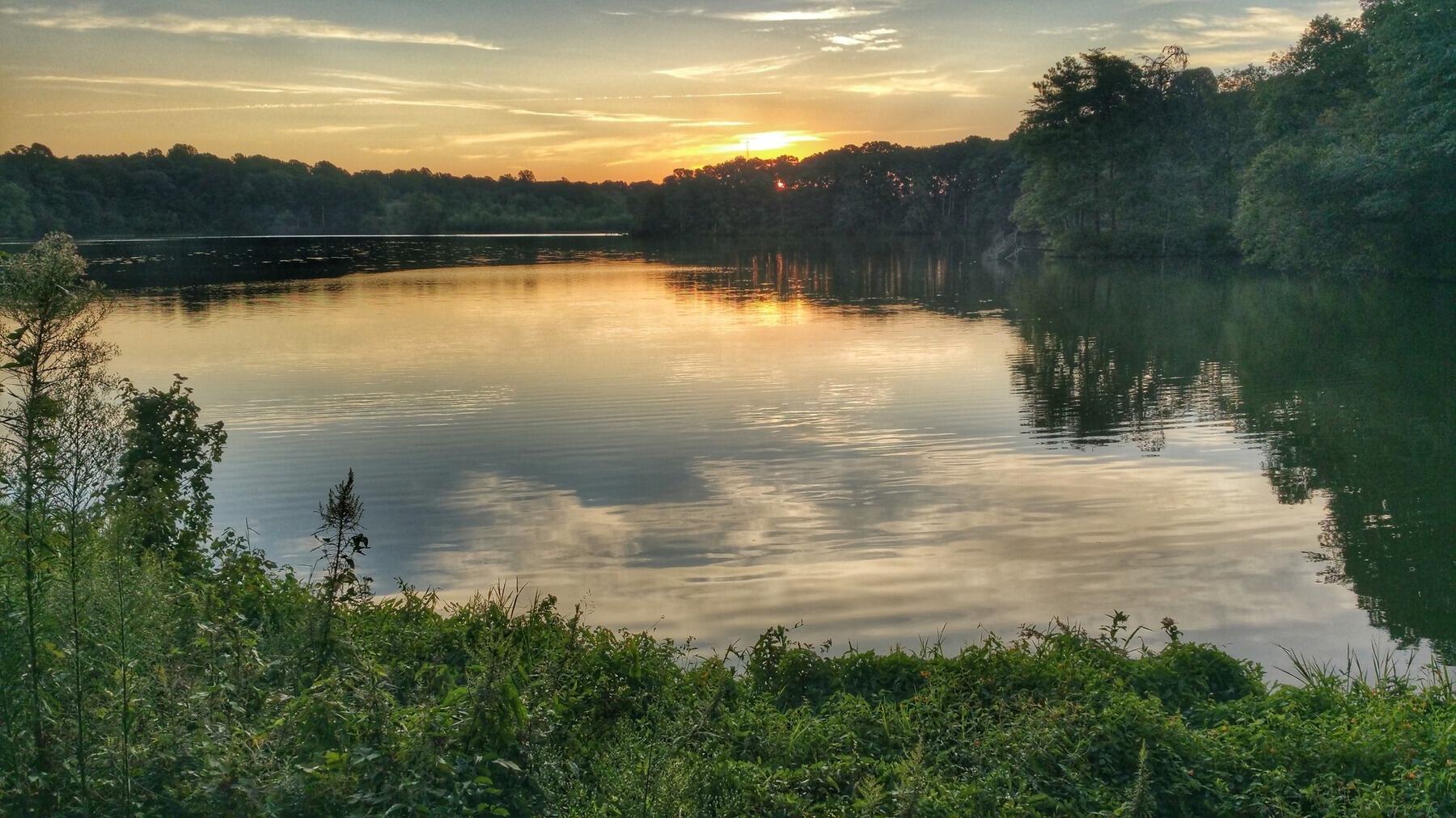 hidden-stories-of-delawares-killens-pond