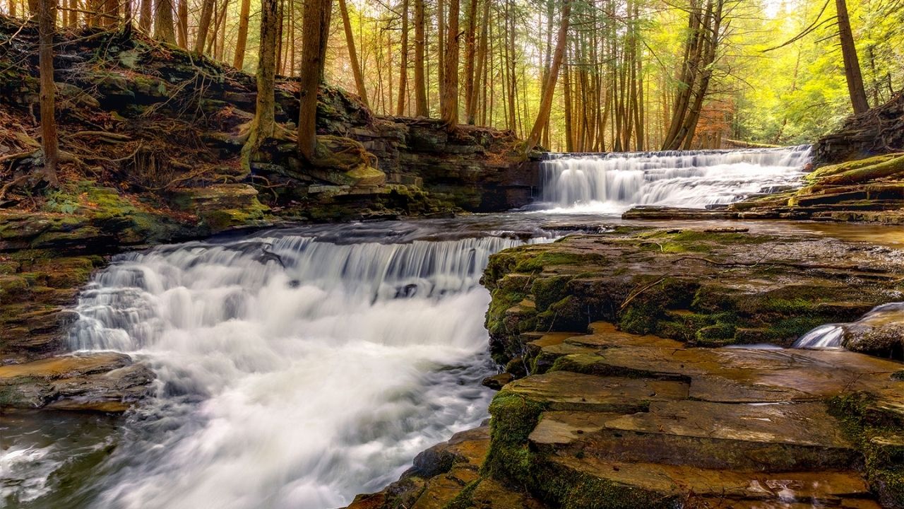 Hidden-Stories-Of-Pennsylvania8217s-Salt-Springs hidden-stories-of-pennsylvanias-salt-springs