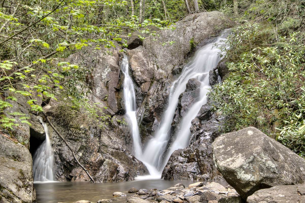 Hidden-Stories-Of-Virginia8217s-Grayson hidden-stories-of-virginias-grayson