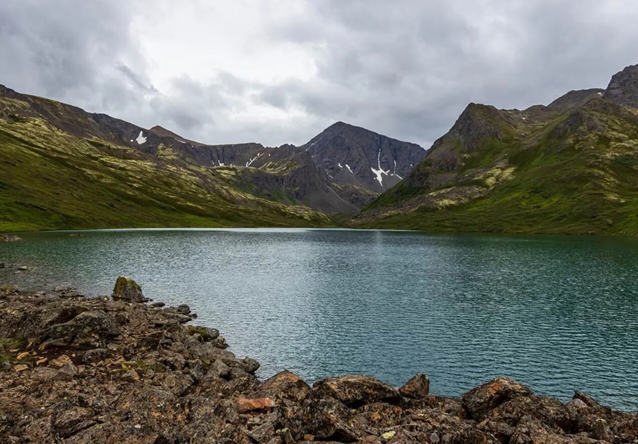Hidden-Streams-Of-Arctic-Grayling-Waters-In-Alaska hidden-streams-of-arctic-grayling-waters-in-alaska