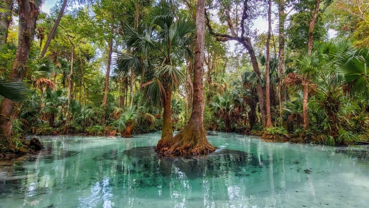 hidden-tales-of-floridas-rock-springs