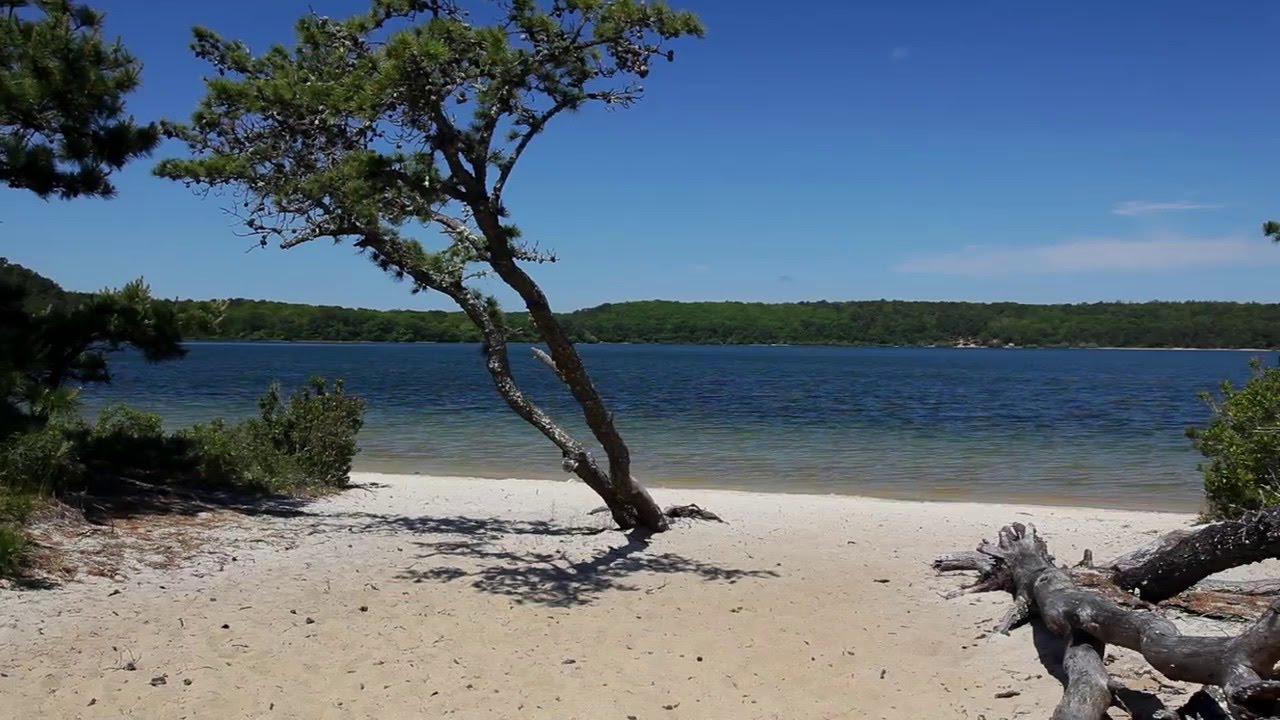 hidden-tales-of-massachusetts-nickerson