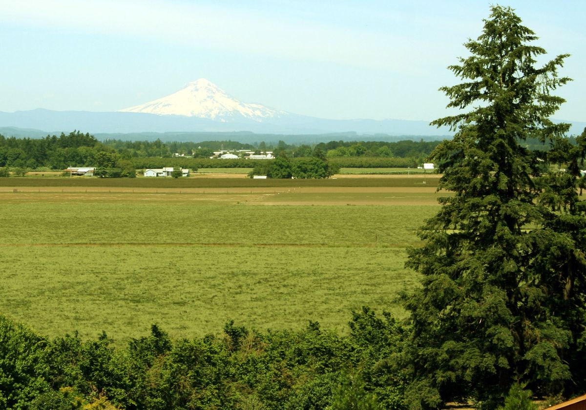 Hidden-Trading-Posts-Of-Oregon8217s-French-Prairie hidden-trading-posts-of-oregons-french-prairie