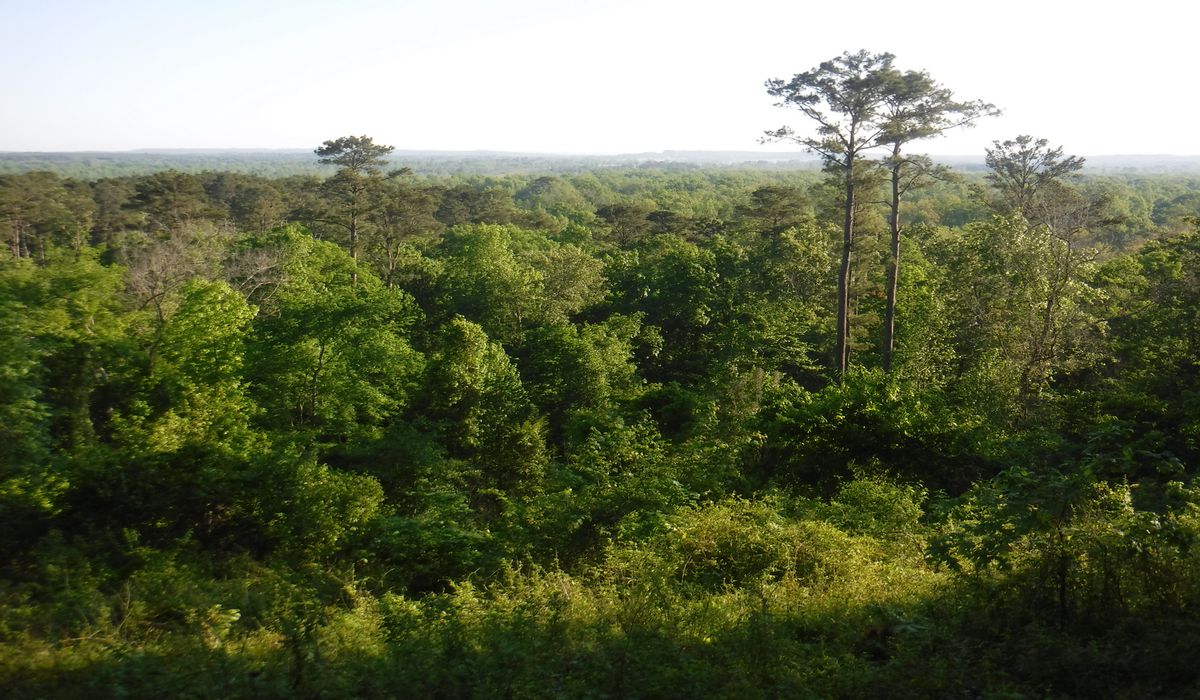 hidden-trading-posts-of-utahs-fort-davy-crockett