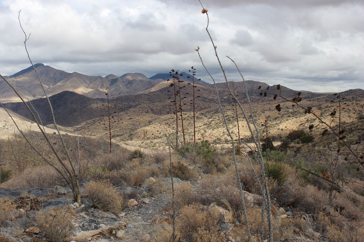 Hidden-Trails-Of-Arizona8217s-Apache-Pass hidden-trails-of-arizonas-apache-pass