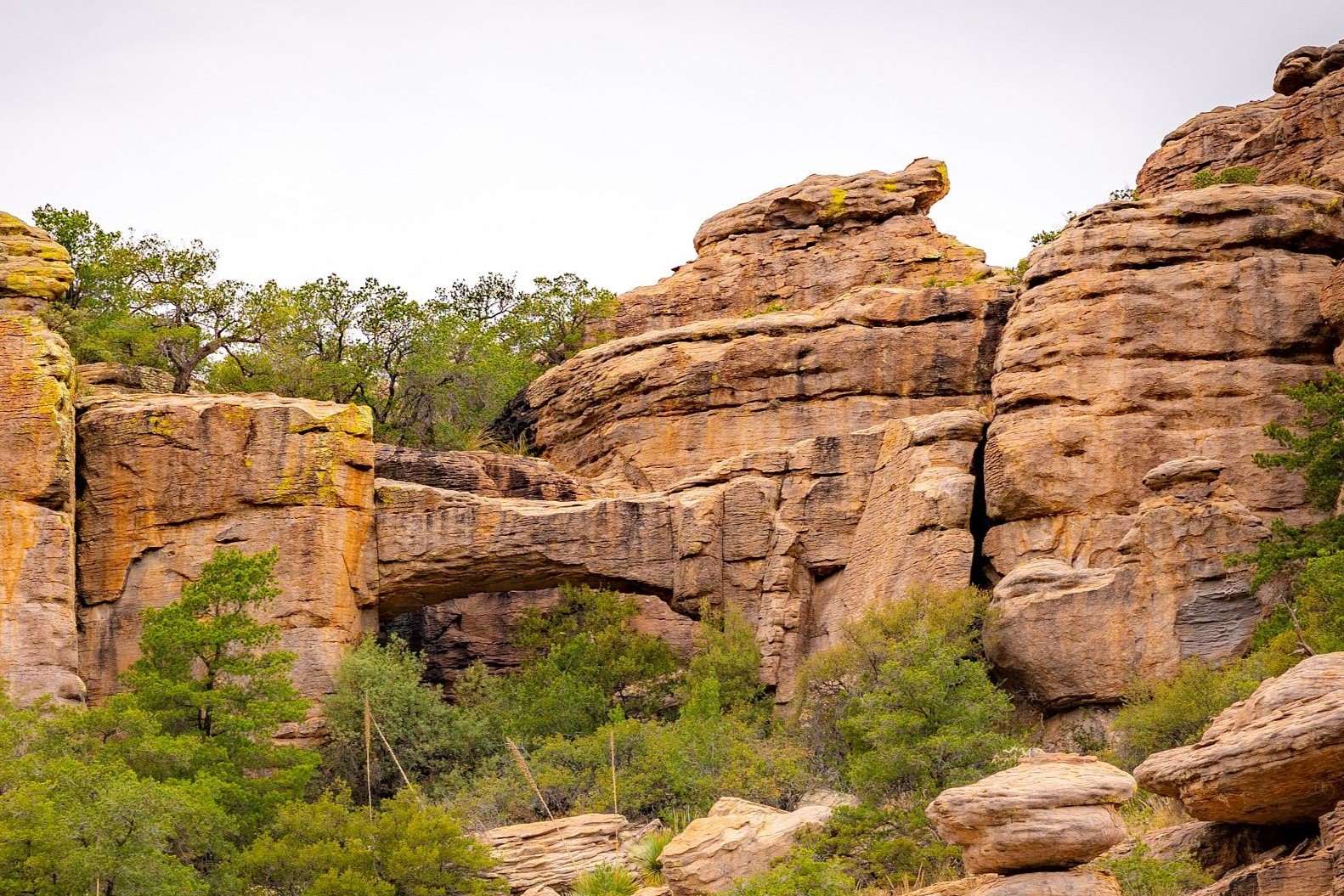 hidden-trails-of-arizonas-congress