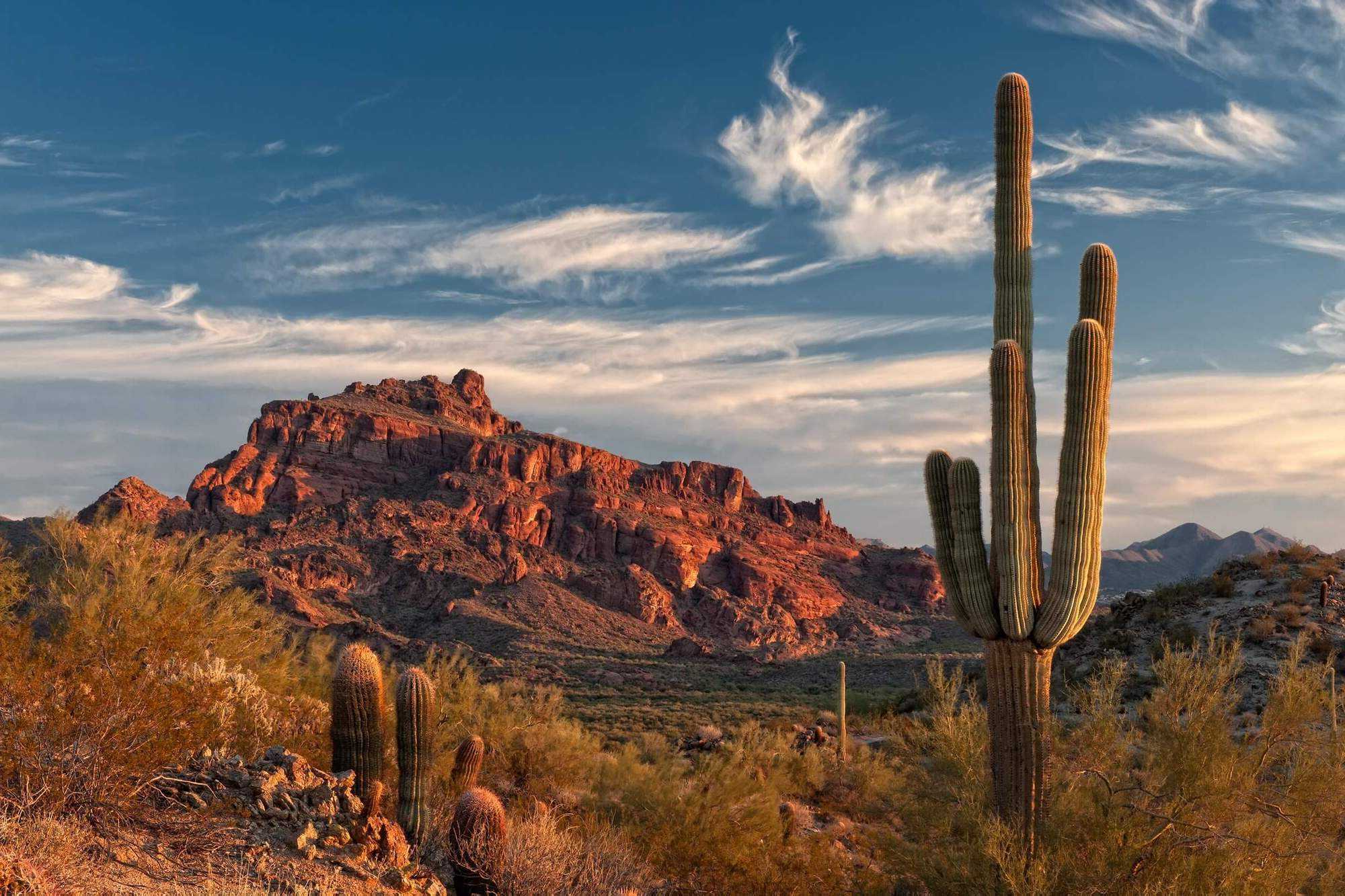 Hidden-Trails-Of-Arizona8217s-Sonoran-Desert hidden-trails-of-arizonas-sonoran-desert