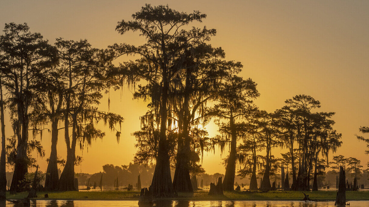 hidden-trails-of-louisianas-atchafalaya-basin