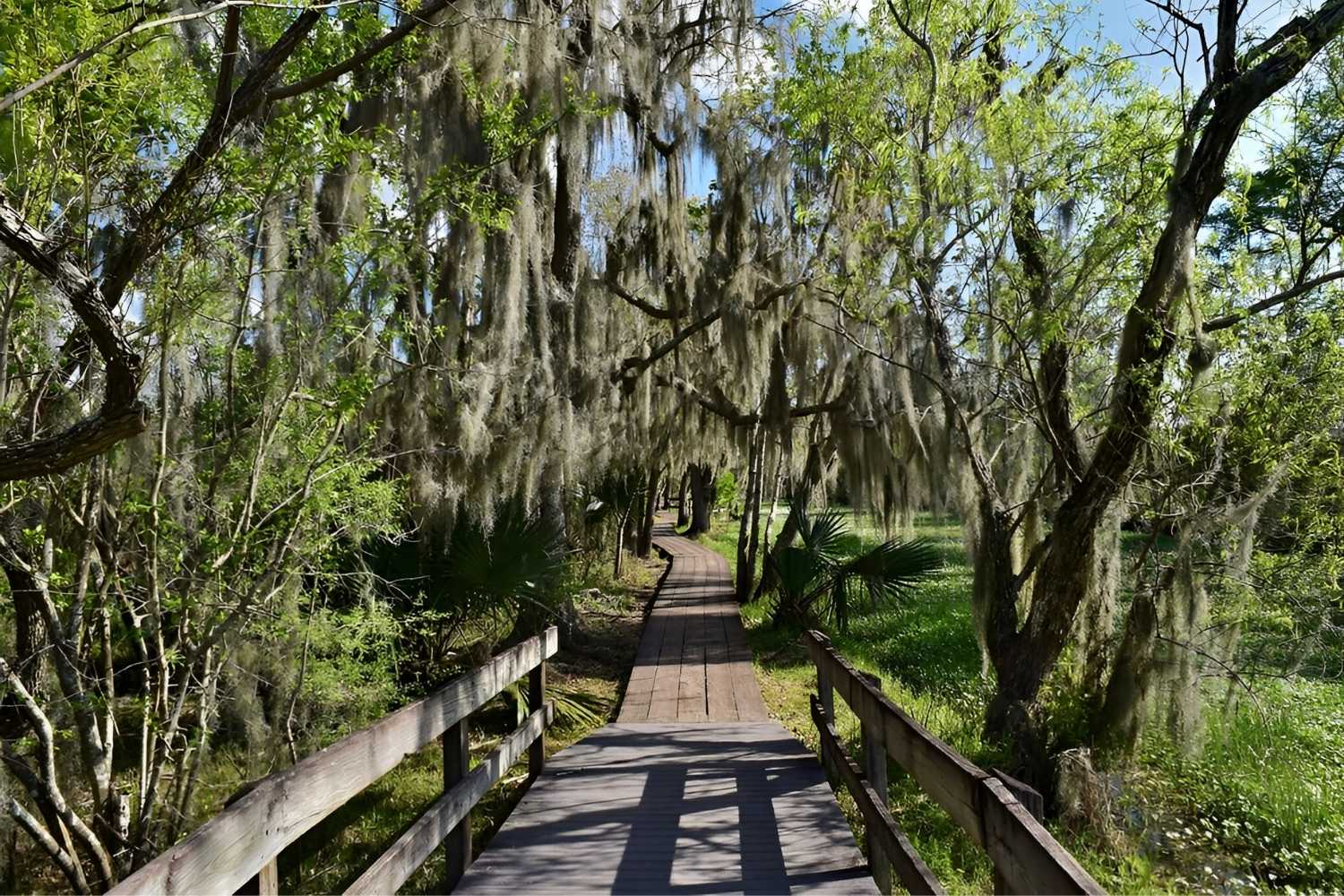 Hidden-Trails-Of-Louisianas-Barataria hidden-trails-of-louisianas-barataria