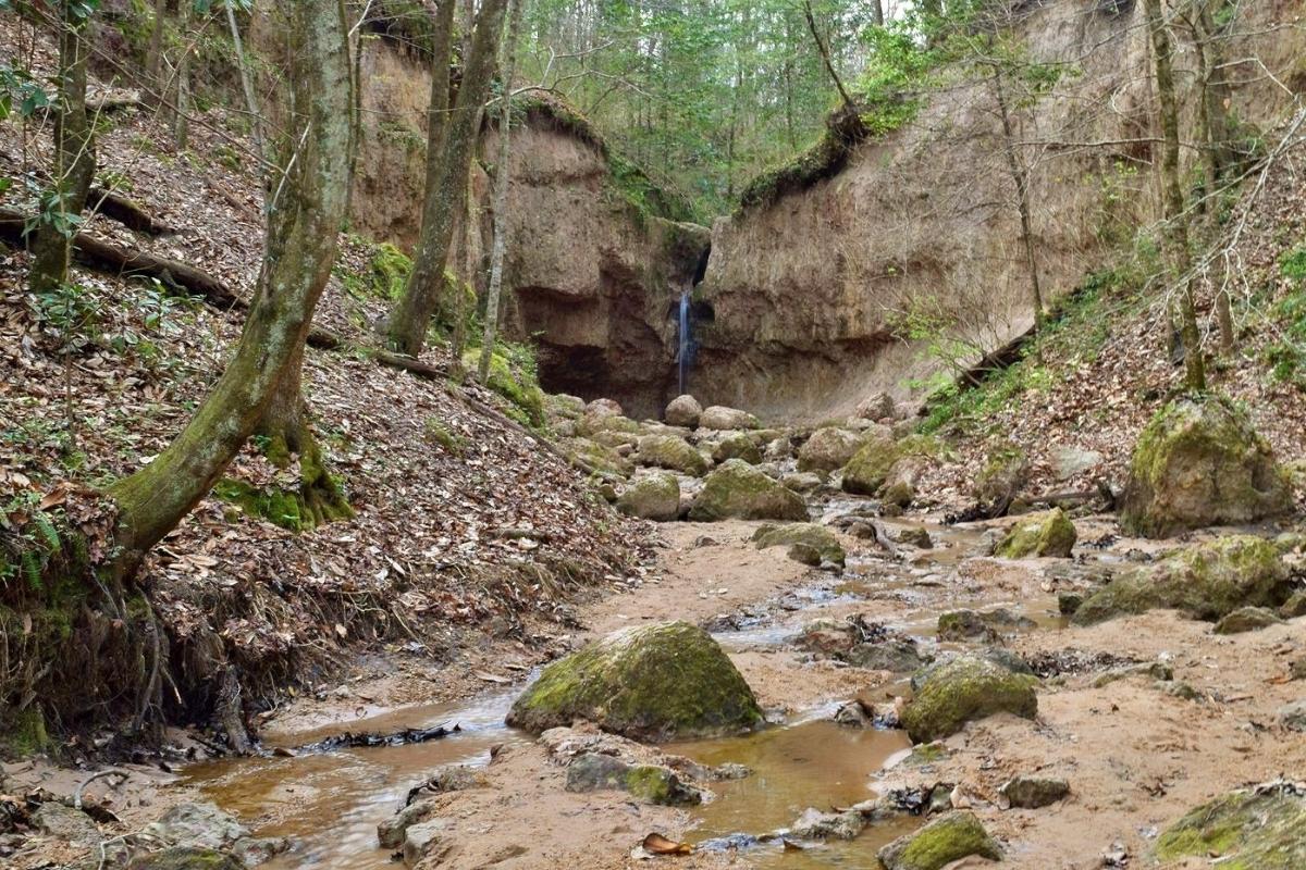 Hidden-Trails-Of-Mississippi8217s-Clark-Creek hidden-trails-of-mississippis-clark-creek