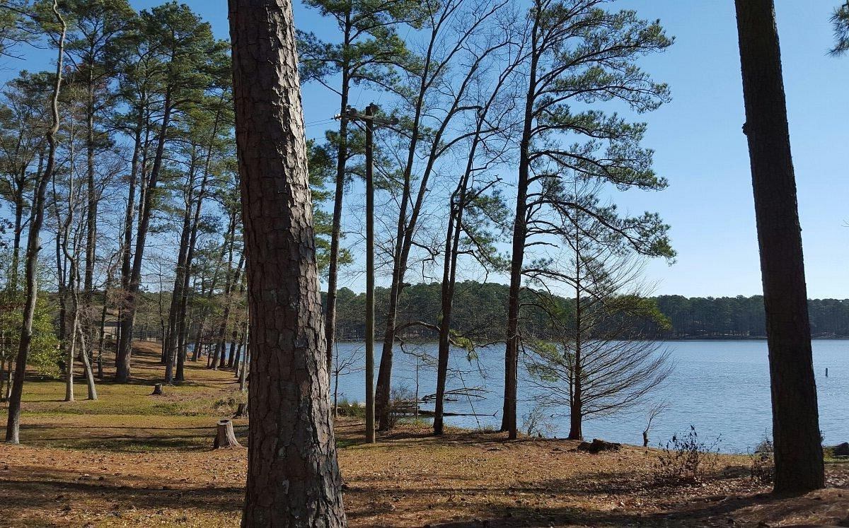 hidden-trails-of-mississippis-roosevelt-forest