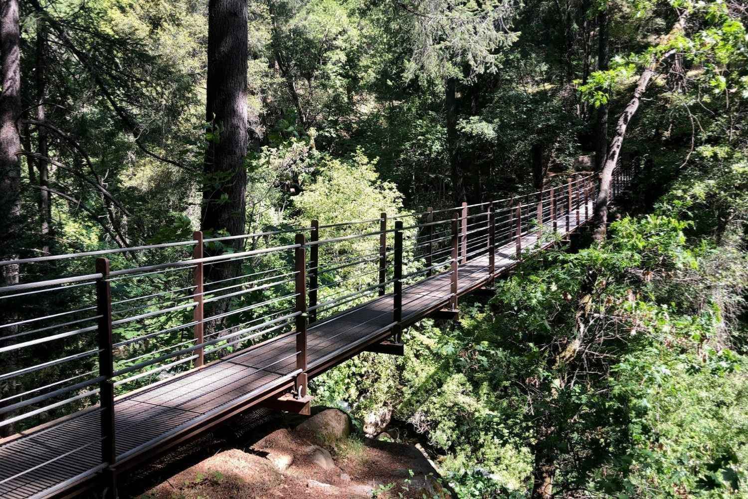 hidden-trails-of-montanas-nevada-city