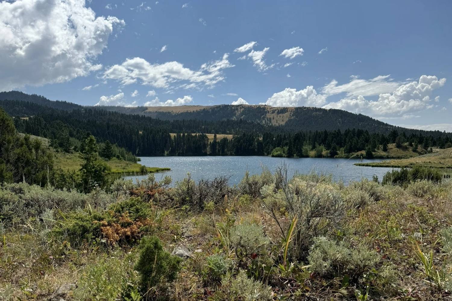 Hidden-Trails-Of-Montana8217s-Virginia-City hidden-trails-of-montanas-virginia-city