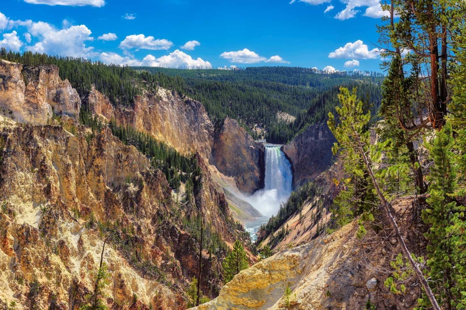 hidden-trails-of-montanas-yellowstone