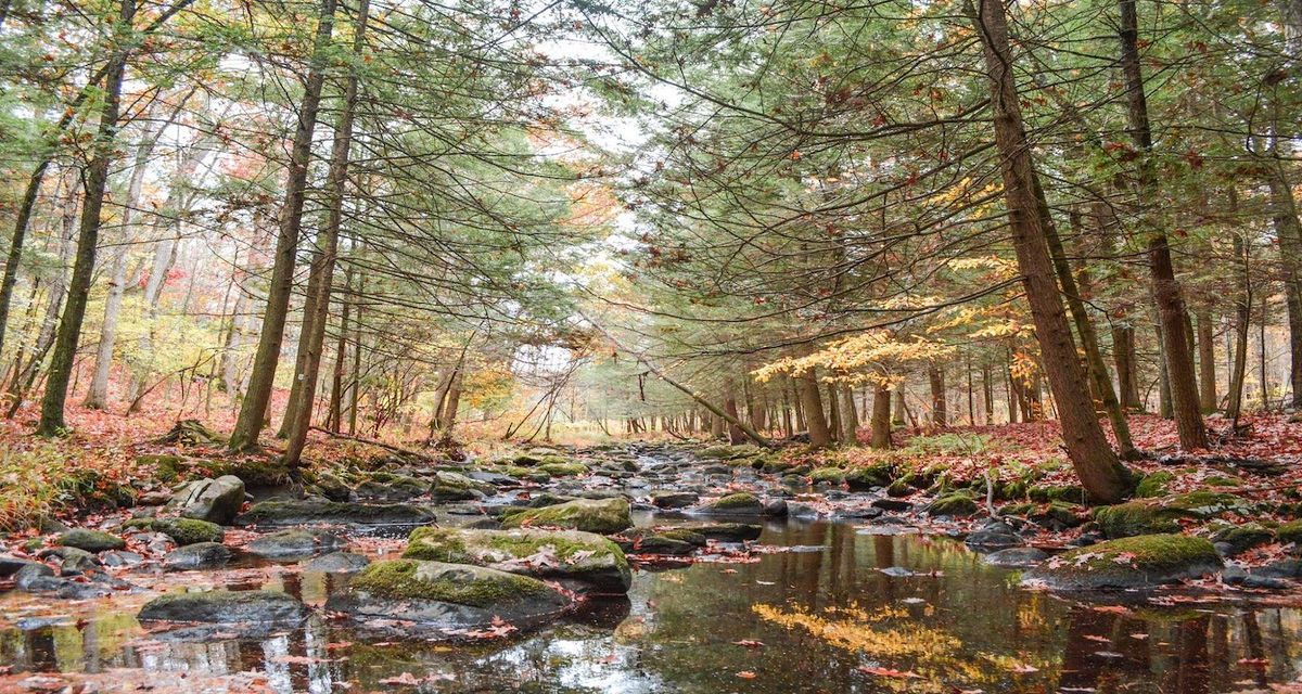 Hidden-Trails-Of-New-Jersey8217s-Stokes hidden-trails-of-new-jerseys-stokes