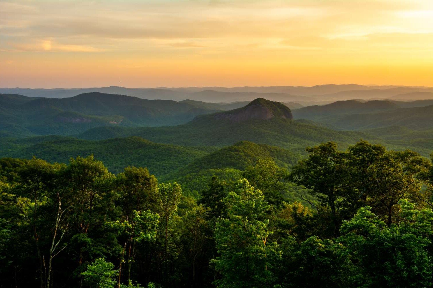 hidden-trails-of-north-carolinas-pisgah-forest