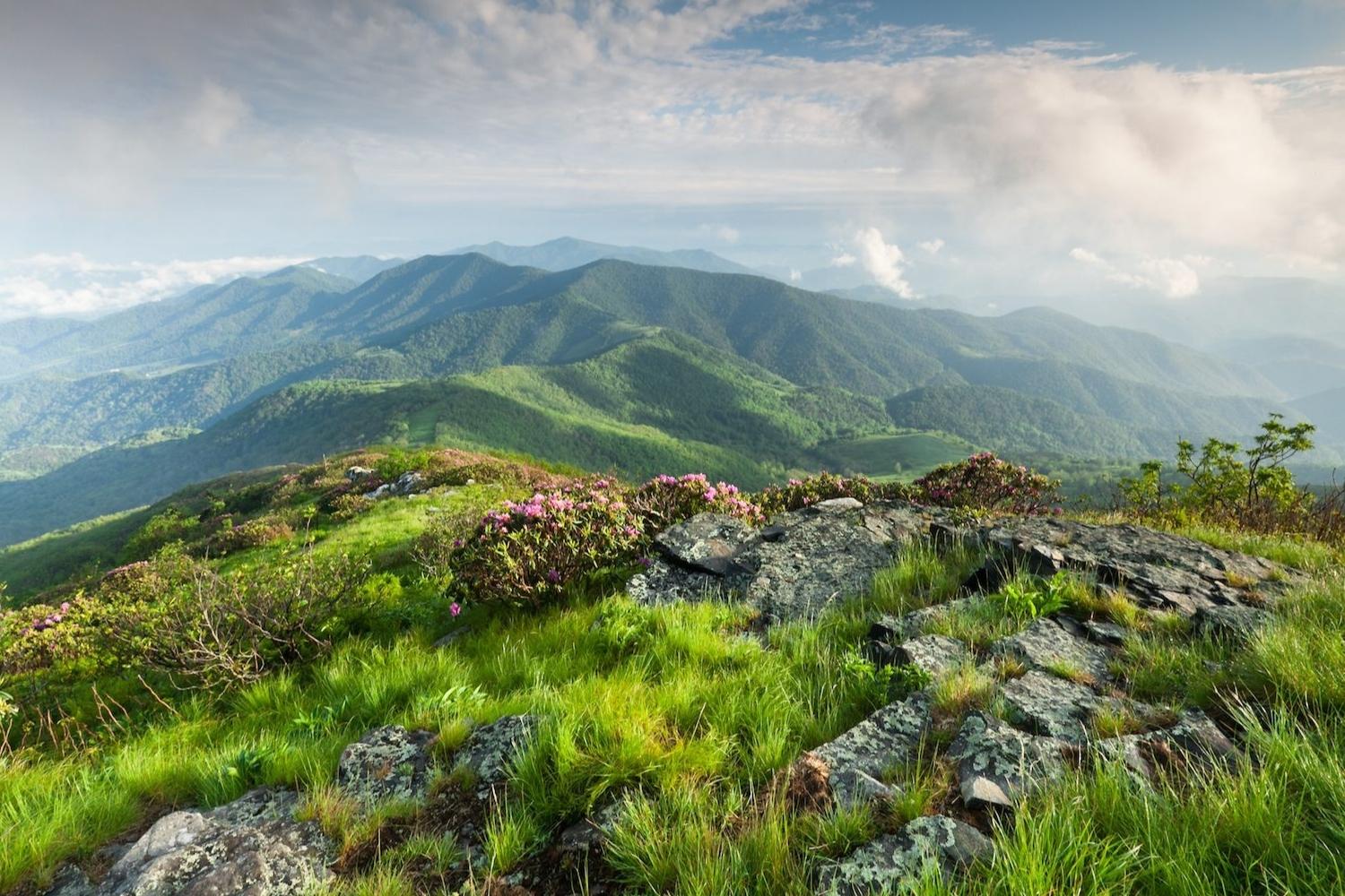 hidden-trails-of-north-carolinas-roan-mountain