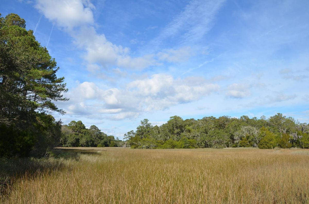 hidden-trails-of-south-carolinas-hunting-grounds