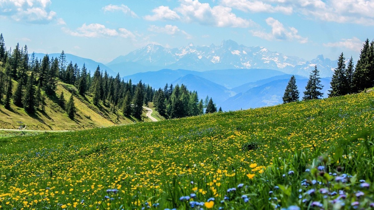hidden-trails-of-utahs-mountain-meadow