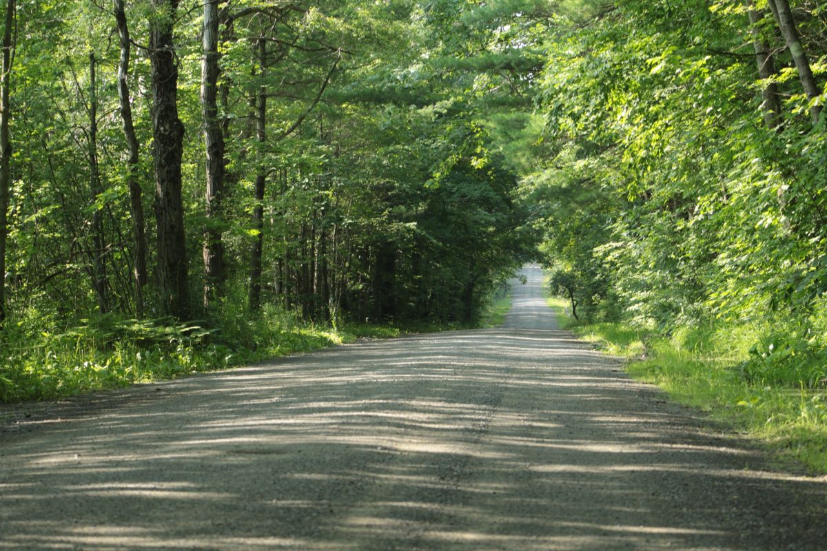 Hidden-Trails-Of-Vermont8217s-Lincoln-Gap hidden-trails-of-vermonts-lincoln-gap