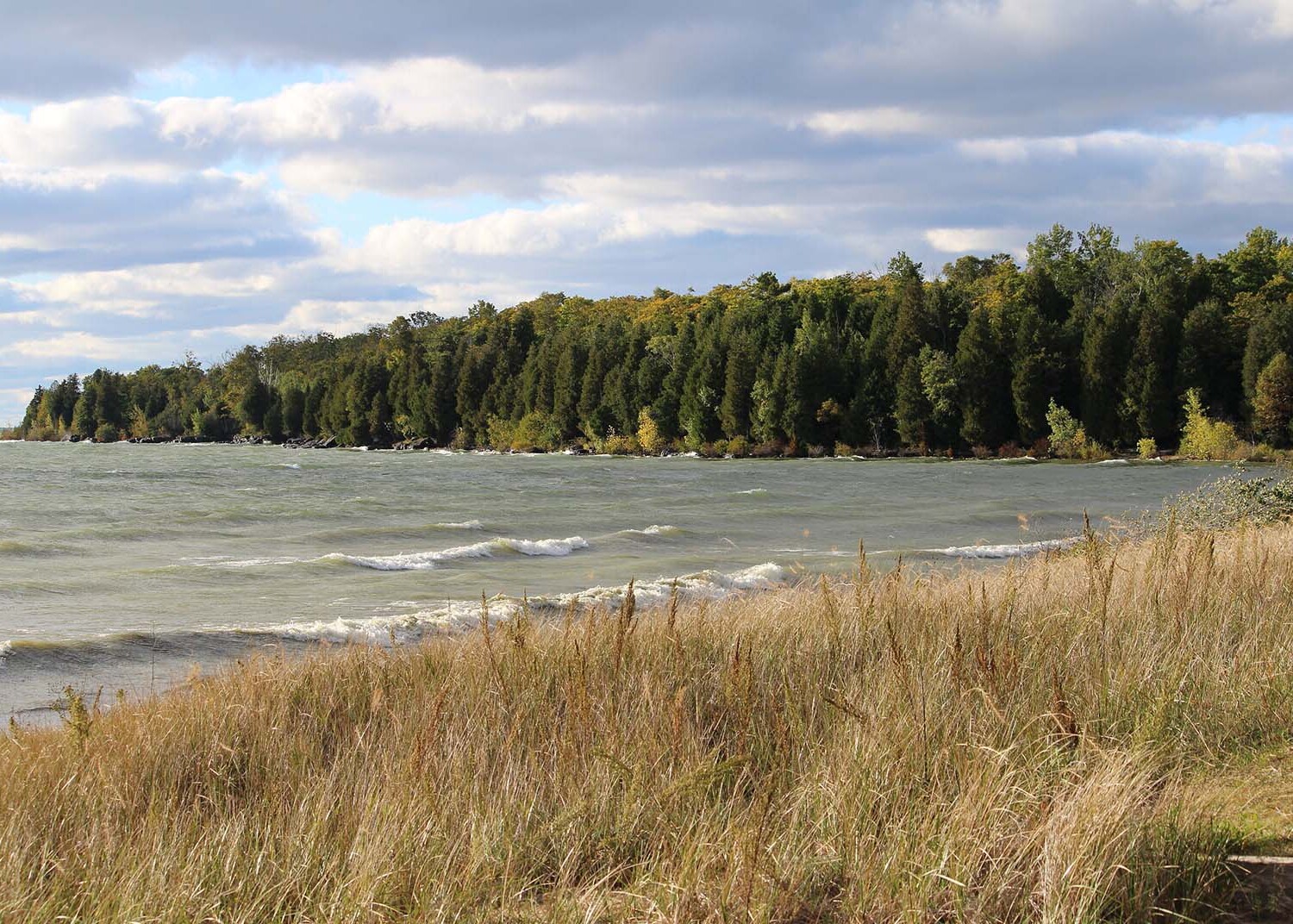 Hidden-Trails-Of-Wisconsin8217s-Newport hidden-trails-of-wisconsins-newport