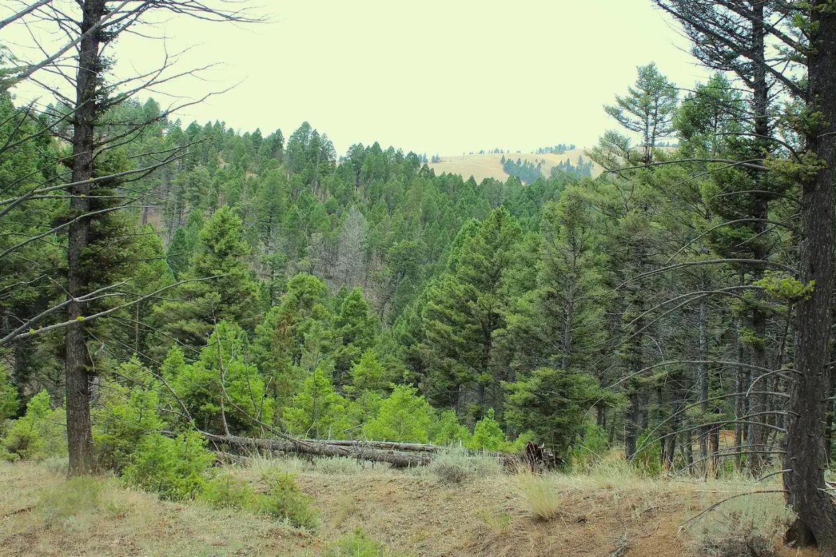 hidden-treasures-of-montanas-boulder-basin