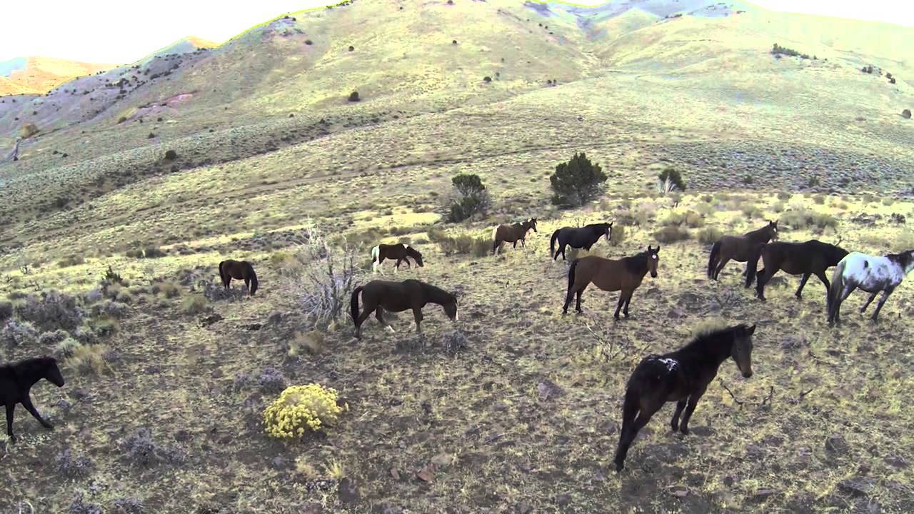 hidden-treasures-of-nevadas-virginia-range