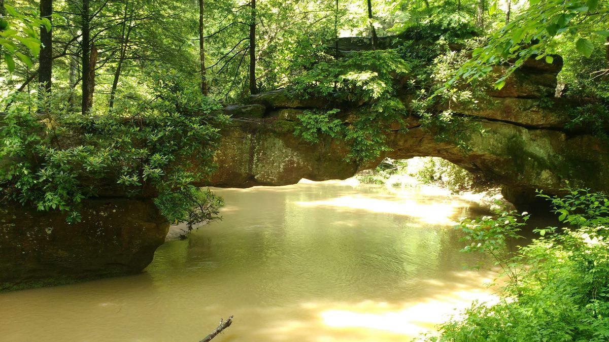 Hidden-Waters-Of-Kentucky8217s-Rock-Bridge hidden-waters-of-kentuckys-rock-bridge
