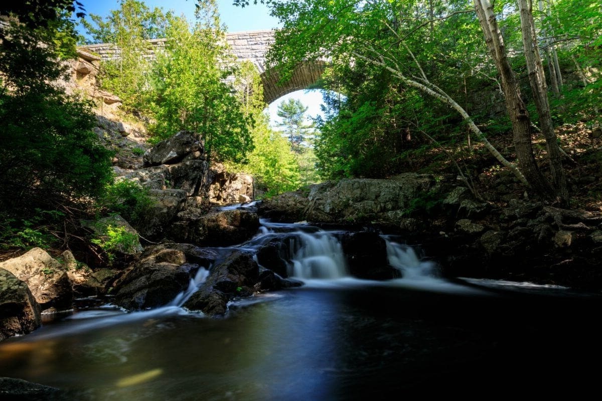 Hidden-Waters-Of-Maine8217s-Falls-Brook hidden-waters-of-maines-falls-brook