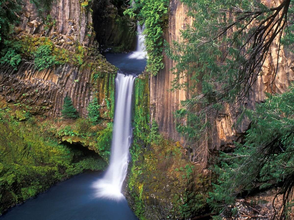 hidden-waters-of-oregons-toketee-falls