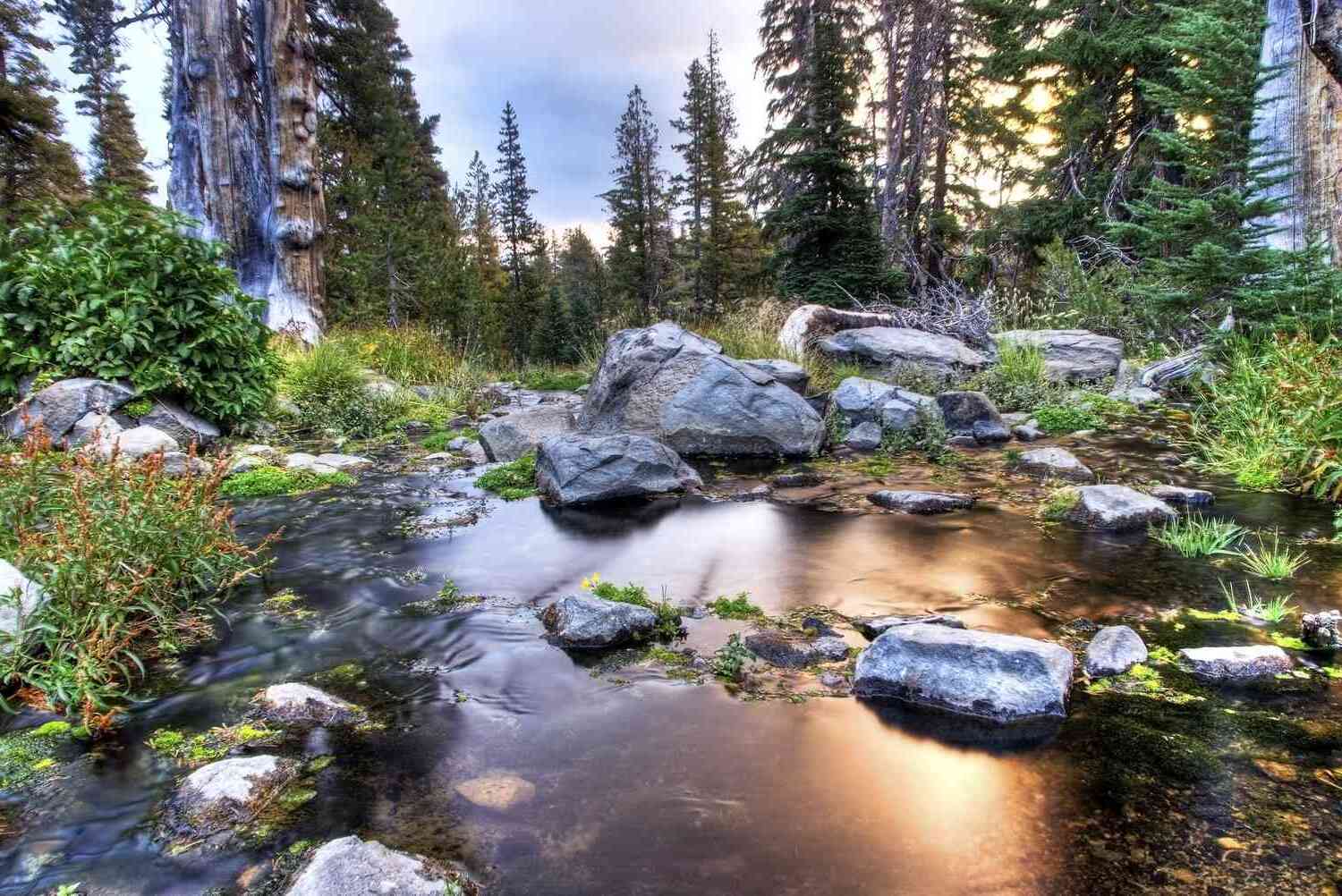 hidden-waters-of-rose-creek-nevada