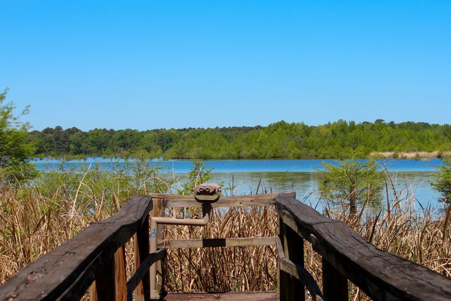 Hidden-Waters-Of-South-Carolina8217s-Santee-Bluff hidden-waters-of-south-carolinas-santee-bluff