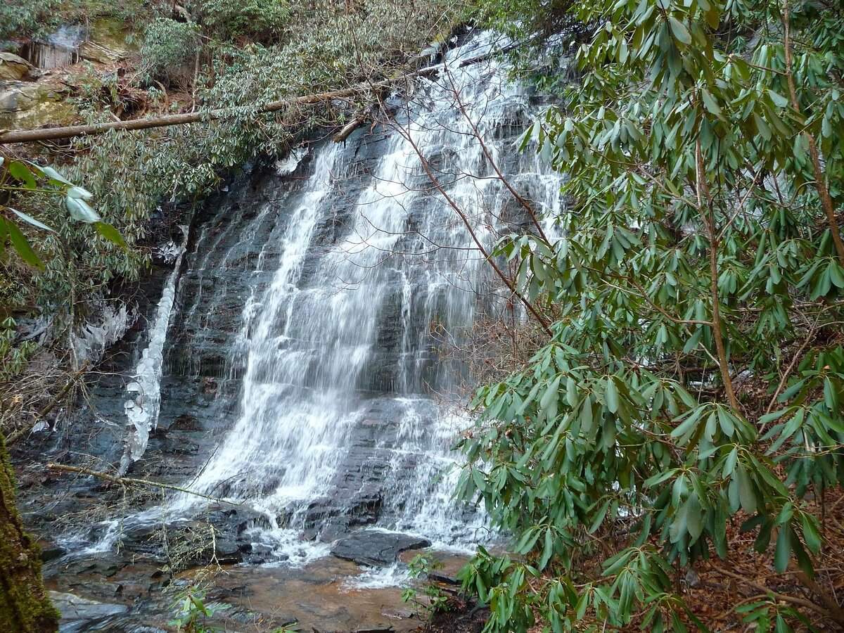 Hidden-Waters-Of-South-Carolina8217s-Sassafras hidden-waters-of-south-carolinas-sassafras