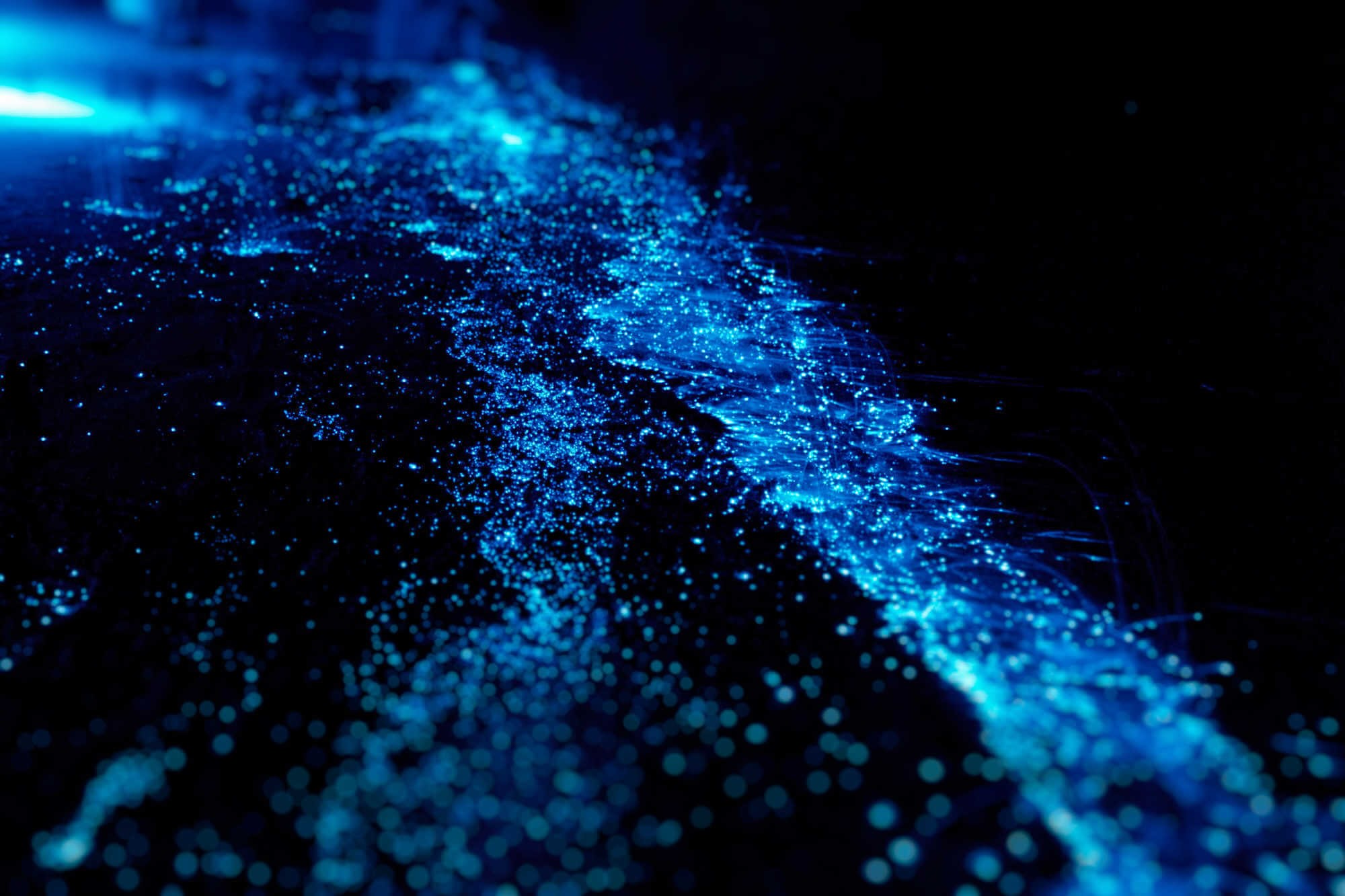 Hidden-Wonders-Forgotten-Bioluminescent-Bays-And-Glowworm-Caves hidden-wonders-forgotten-bioluminescent-bays-and-glowworm-caves