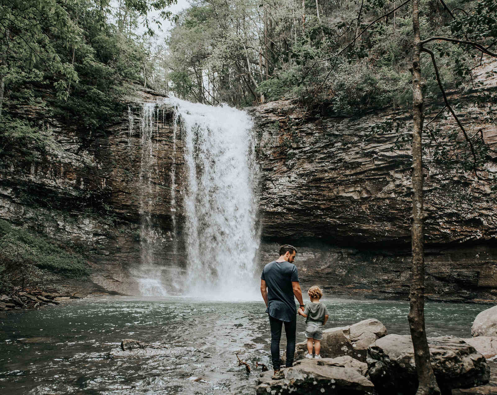 Hidden-Wonders-In-Georgias-Cloudland-Canyon hidden-wonders-in-georgias-cloudland-canyon