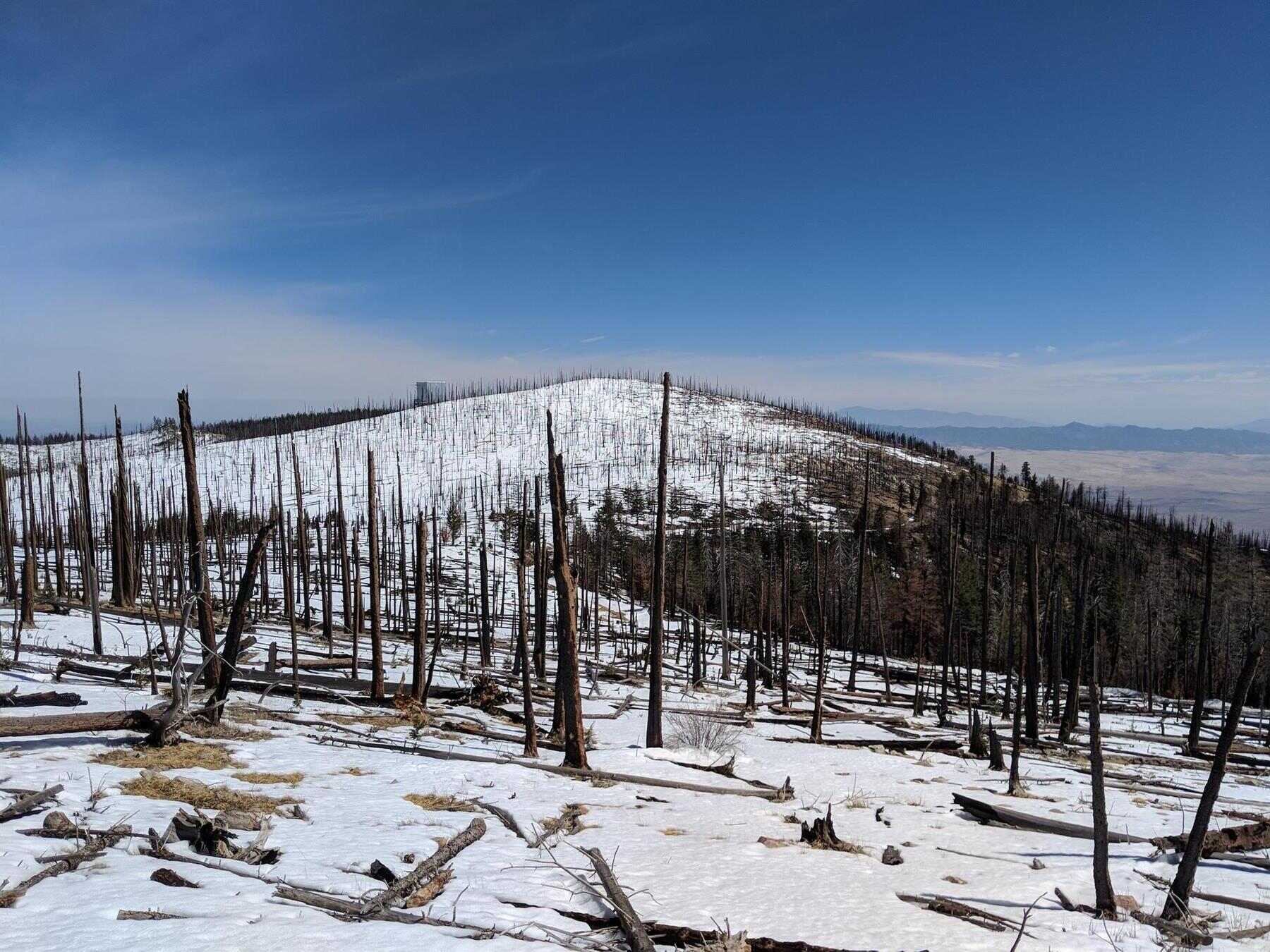 hidden-wonders-of-arizonas-pinaleno-mountains