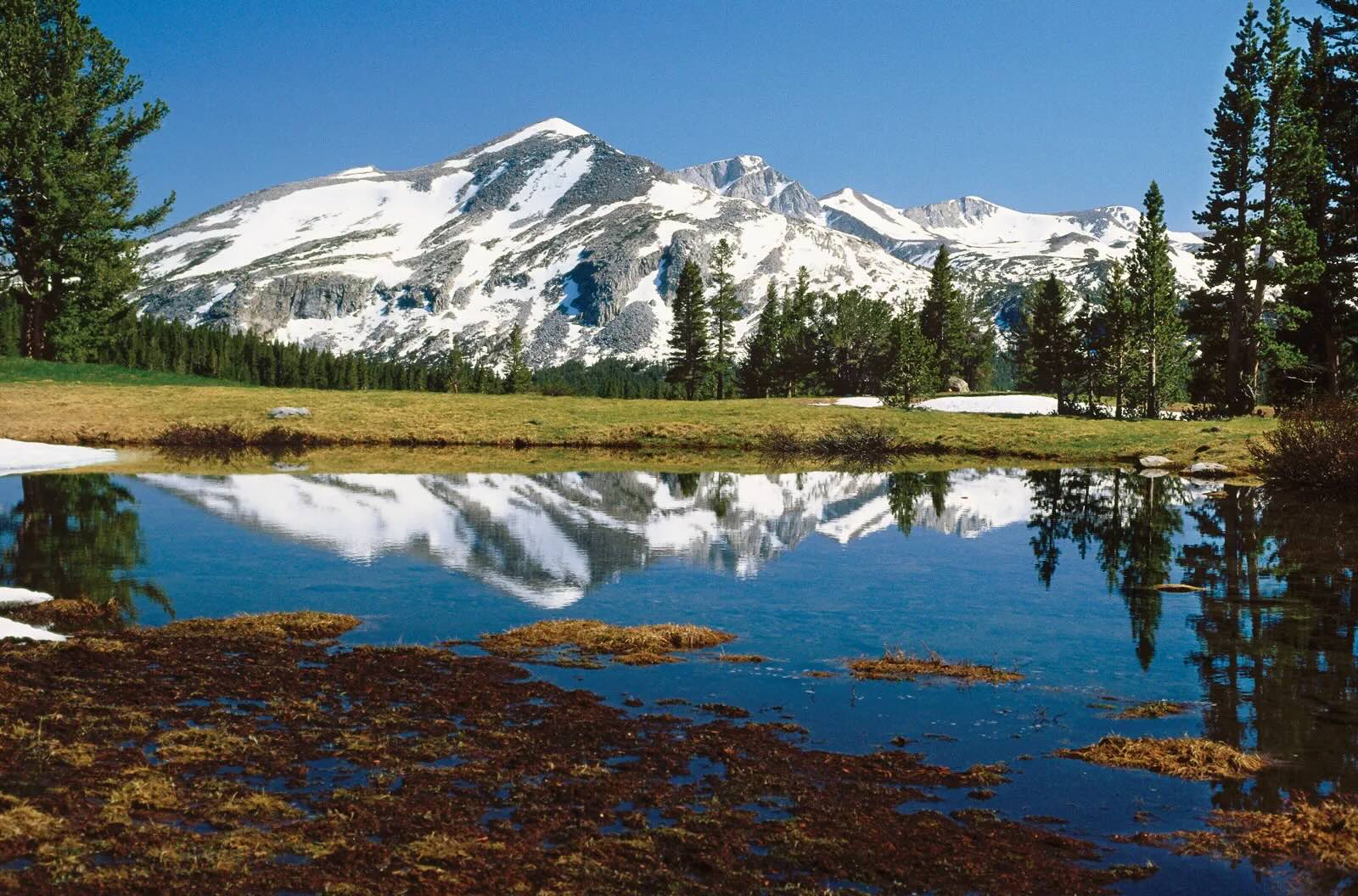 hidden-wonders-of-californias-tioga-pass