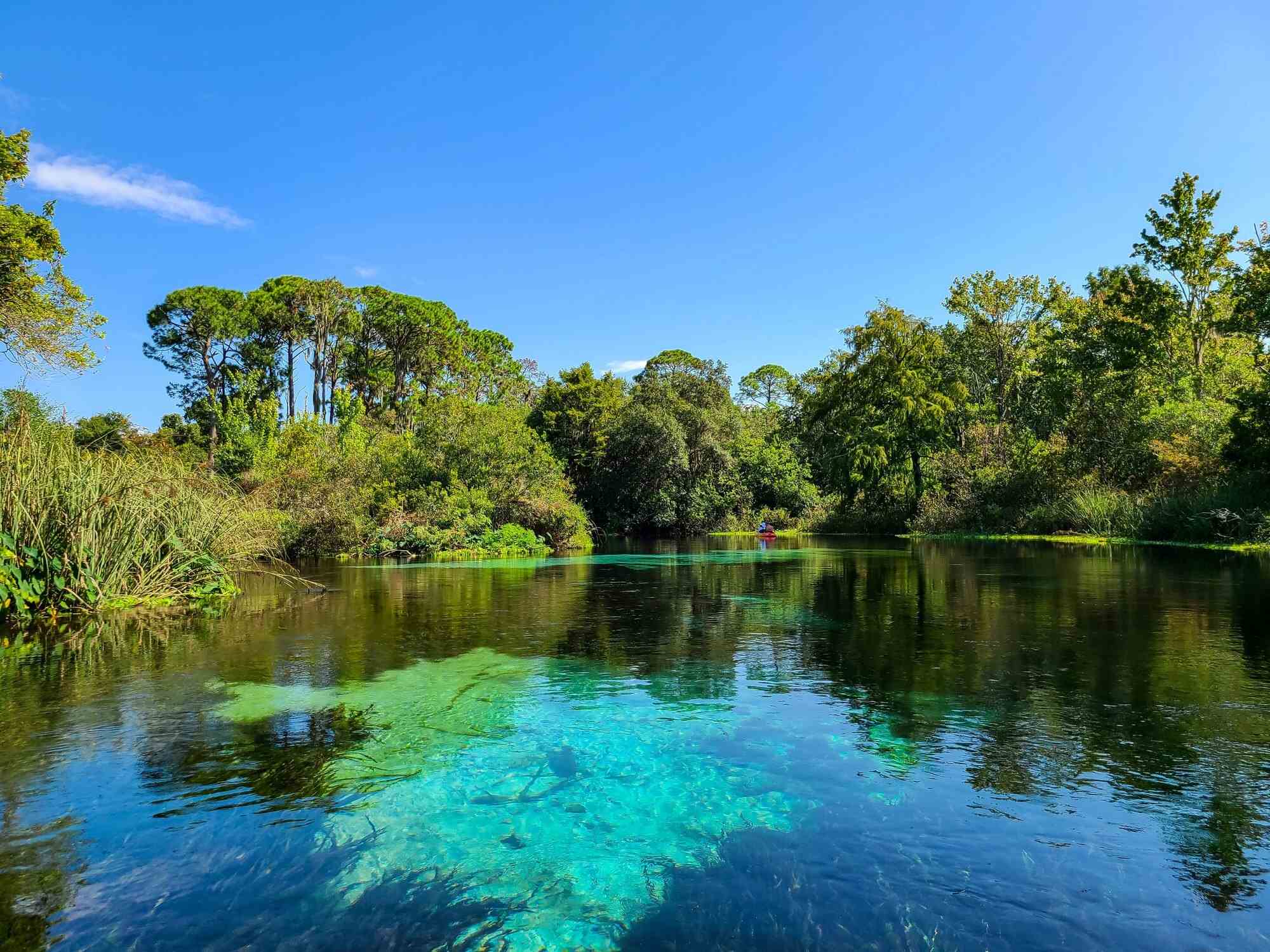 Hidden-Wonders-Of-Florida8217s-Weeki-Wachee hidden-wonders-of-floridas-weeki-wachee
