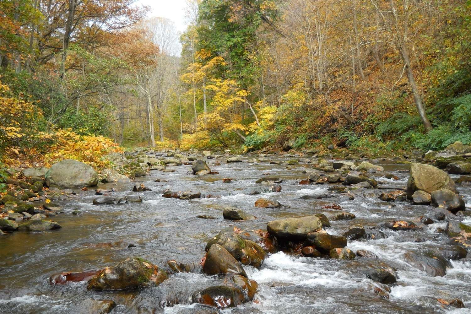 hidden-wonders-of-marylands-savage-river