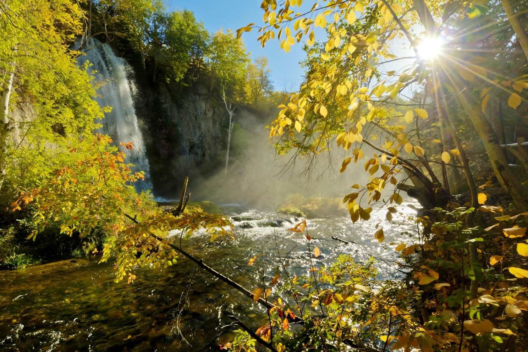 Hidden-Wonders-Of-Spearfish8217s-Forests hidden-wonders-of-spearfishs-forests