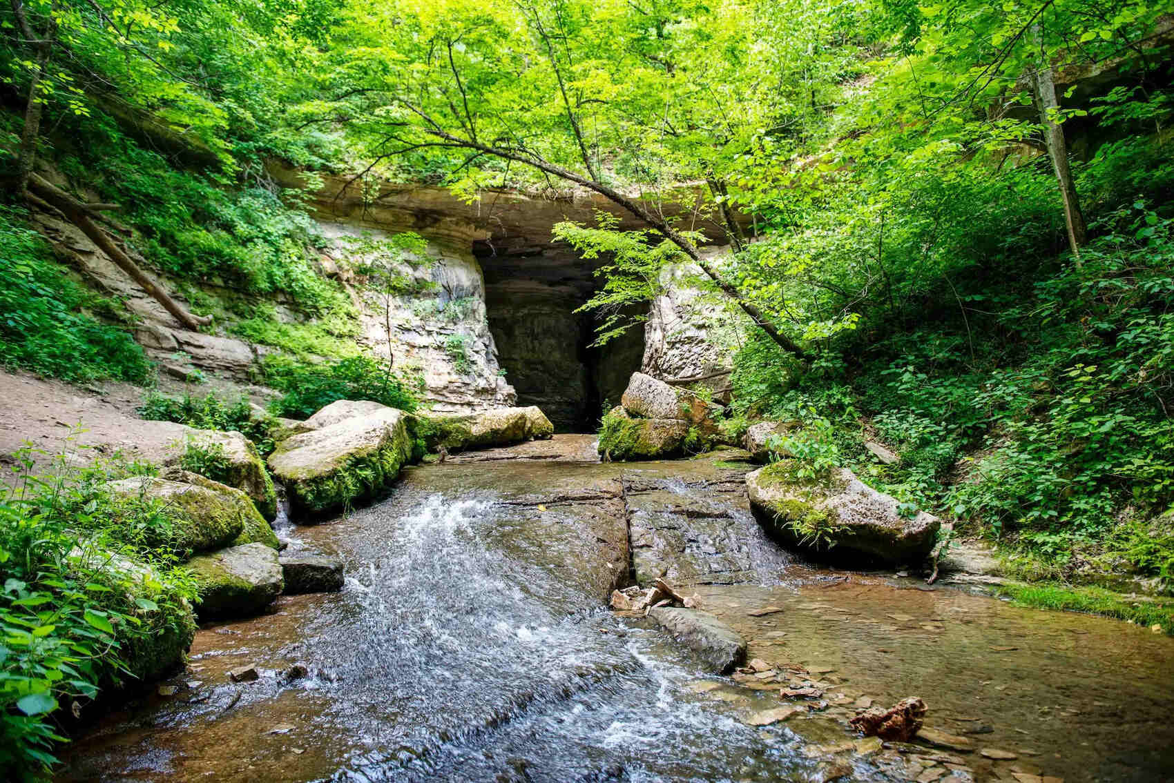 indianas-spring-mill-canyon-tales