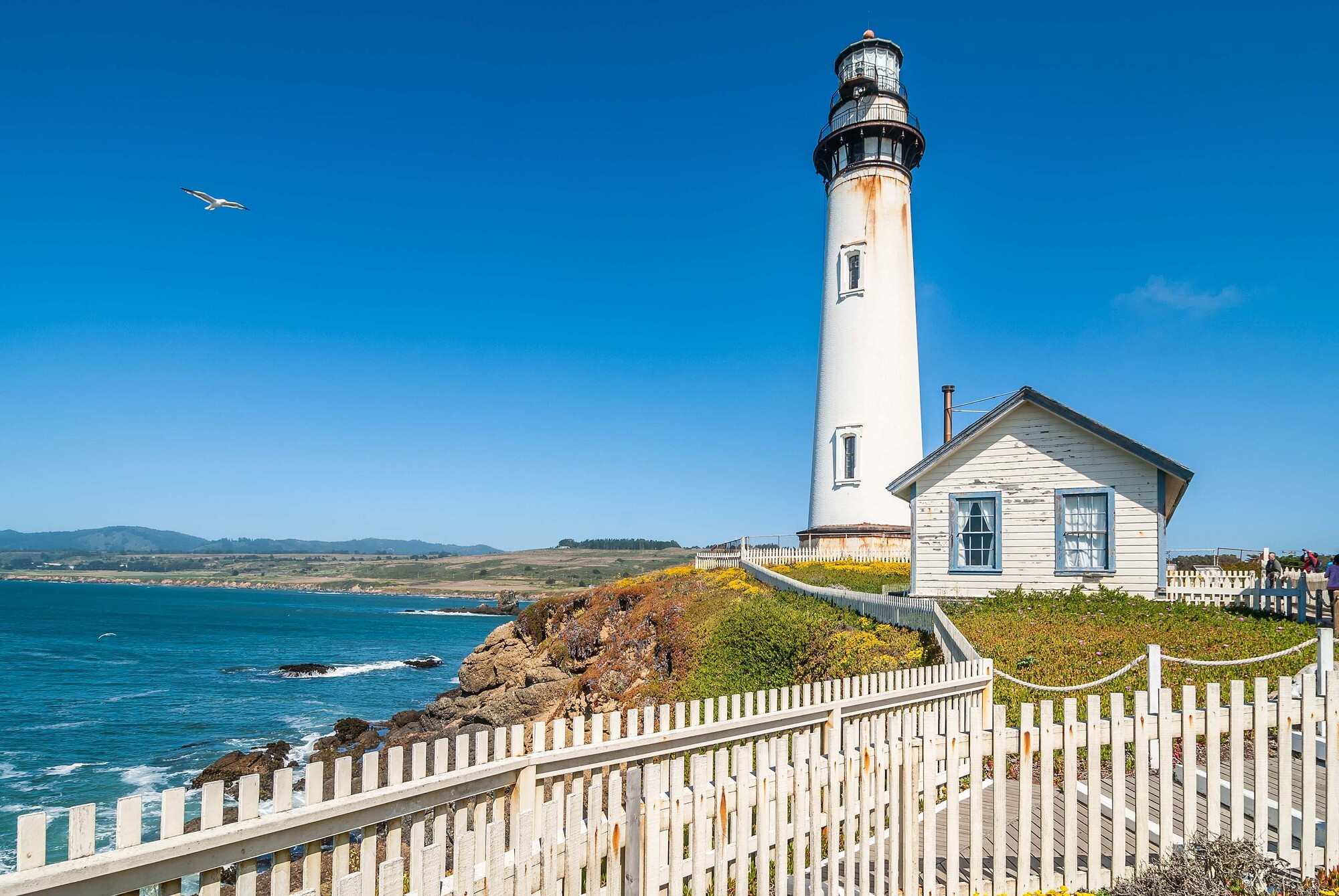 Lost-Lighthouses-Of-The-Pacific-Hidden-Beacons-Of-The-West-Coast lost-lighthouses-of-the-pacific-hidden-beacons-of-the-west-coast