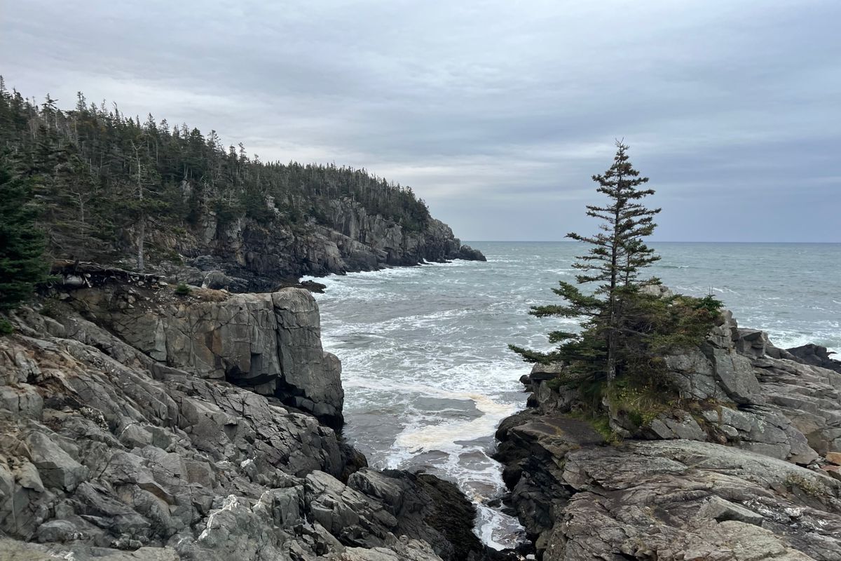 Maine8217s-Quoddy-Head-Trails-Mystery maines-quoddy-head-trails-mystery