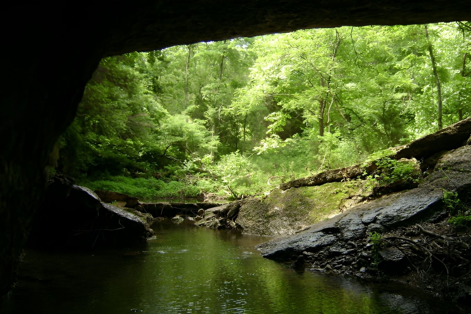 missouris-secret-caves-at-bennett-spring