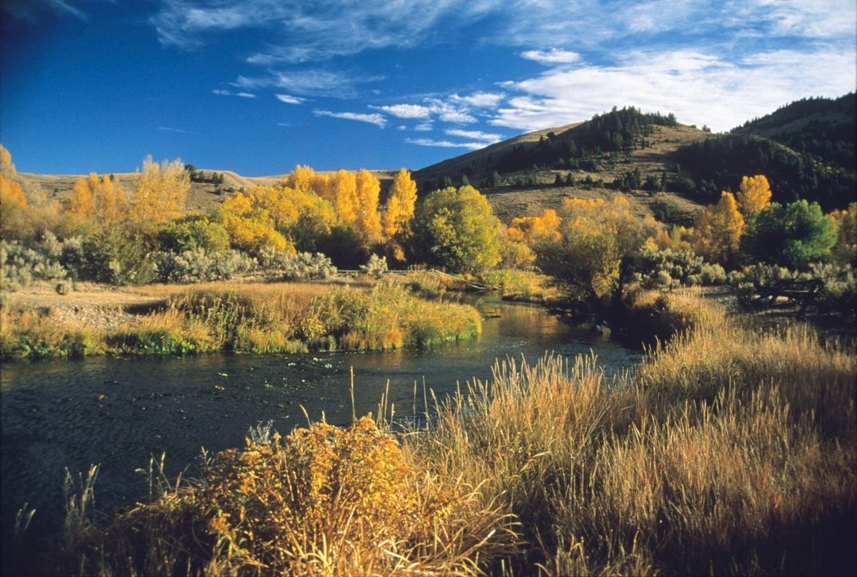 montanas-hidden-diamond-mystery