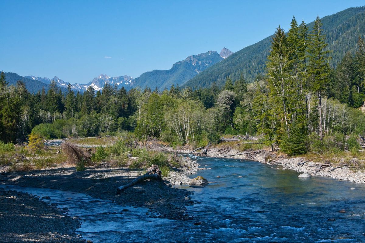 mysteries-along-washingtons-hoh-river