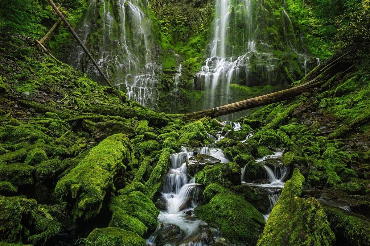 Mysteries-Behind-Oregons-Proxy-Falls mysteries-behind-oregons-proxy-falls