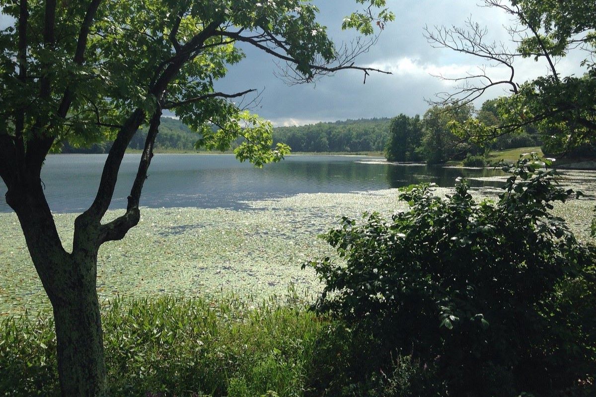 mysteries-beneath-new-yorks-lake-taghkanic