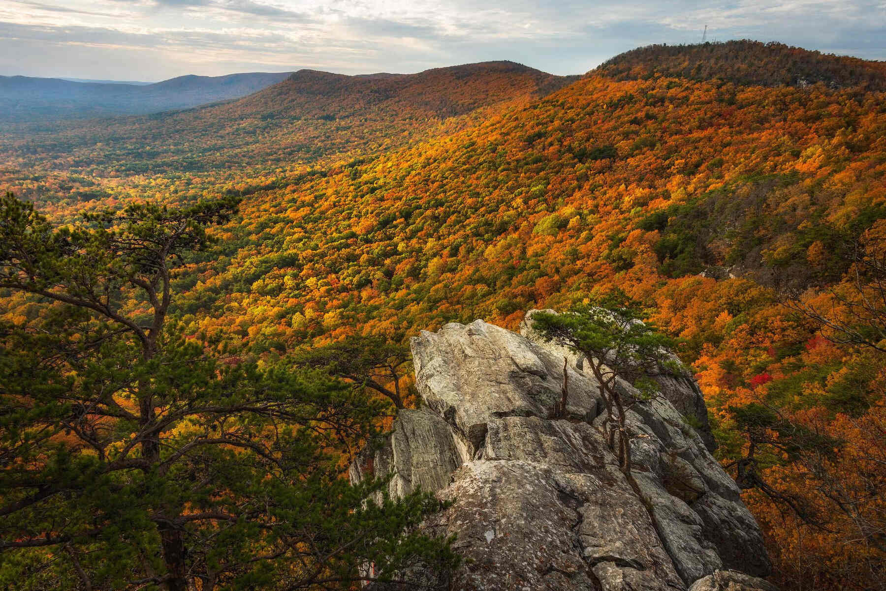 Mysteries-Of-Alabama8217s-Cheaha-Forest mysteries-of-alabamas-cheaha-forest