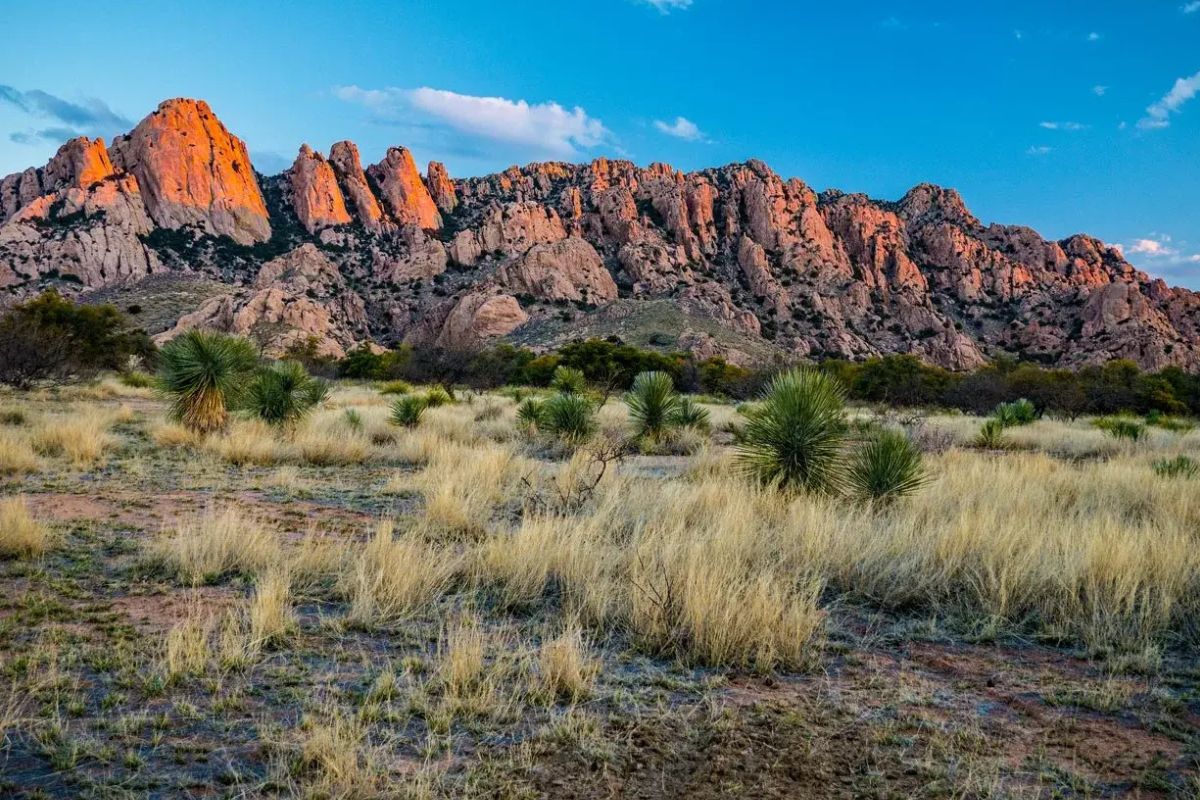 Mysteries-Of-Arizona8217s-Dragoon-Wilderness mysteries-of-arizonas-dragoon-wilderness